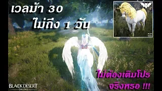 [BlackDesert TH] #EP 6 วิธีเก็บเลเวลม้า30ภายใน1วัน แบบละเอียดยิ๊บบบบ!!