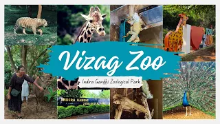 Safari Ride in India’s 3rd Largest Zoo 🦁 | Indira Gandhi Zoological Park, Visakhapatnam