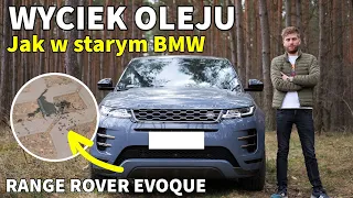 Range Rover Evoque, czyli ma coś wspólnego ze starym BMW TEST