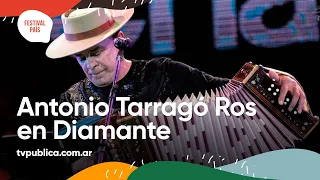 Antonio Tarragó Ros en Diamante - Festival País 2022