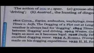 Dogging - Balderdash & Piffle