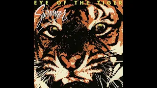 Survivor - Eye of the tiger - Guitar Backing track