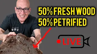 John Adolfi LIVE! UnBoxing - Part Petrified and Part Fresh Wood!!