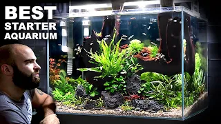 The Budget Aquarium Setup You Cannot Miss!