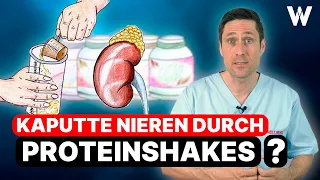 Kaputte Nieren durch Proteinshakes? Shakekonsum und die Folgen für Körper & Gesundheit! Limits!