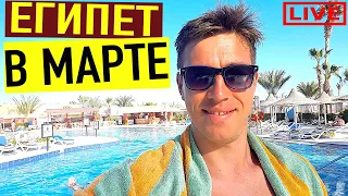 ЕГИПЕТ В МАРТЕ LIVE. ПОГОДА, МОРЕ, ВЕТЕР. ОТВЕТЫ НА ВОПРОСЫ.