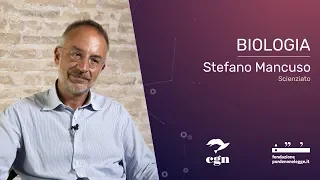 Biologia - Stefano Mancuso - Il futuro è oggi