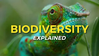 What is Biodiversity? | Eco Facts | One Tree Planted