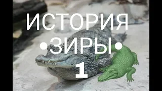 ИСТОРИЯ •ЗИРЫ•: 1 СЕРИЯ