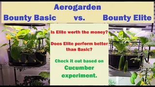 Aerogarden Bounty Elite vs. Bounty Basic. Which is better? Performace based on cucumber experiments.