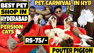 Best Pet Shop in Hyderabad | 😱🔥| MushiTube lifestyle