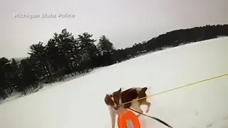 Dog helps Michigan man after he falls through ice on lake