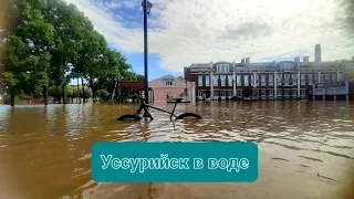 Потоп в Приморье - Уссурийск. Ситуация на 13.08.2023 года.
