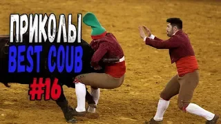 #ПРИКОЛЫ за Апрель 2018 | BEST COUB 2018 ▶ 16