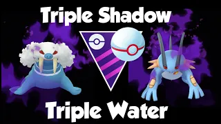 THE UNEXPECTED TEAM IS INSANELY STRONG Master League Premier Cup FT Shadow Swampert Gyarados Walrein