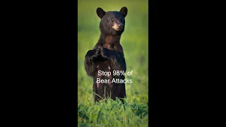 Stop 98% of Bear Attacks