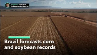 Brazil Forecasts Record Corn and Soybean Harvest