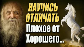 Как Преодолевать Проблемы и Трудности в Жизни? Мудрая ПРИТЧА!