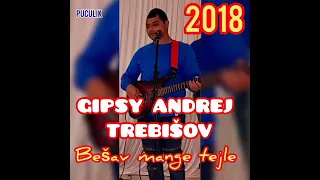 GIPSY ANDREJ TREBISOV - BESAV MANGE TEJLE 2018