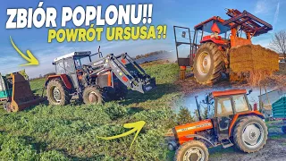 VLOG!🔥Ferdkiem na Stół...? 🚜Powrót Ursusa?! Poplon na Kiszonkę!!🍀