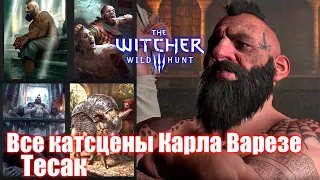 Все катсцены Карла Варезе прозвище Тесак - The Witcher 3: Wild Hunt