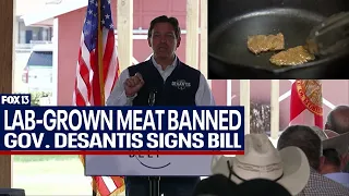 Lab-grown meat banned under new Florida law signed by Gov. DeSantis