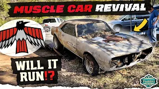 ABANDONED 1967 Pontiac Firebird. WILL IT RUN after 27 years?!?