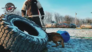 Тренировка для плотного и внимательного конвоя.