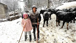 Nomads Daily Life in a Cold and Snowy Winter Day in North of Iran