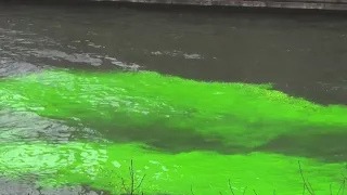 Parades, river dyeing coming up for St. Patrick's Day in Chicago