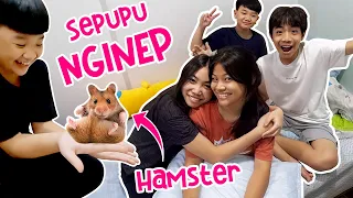 24 JAM SEPUPU NGINAP DI RUMAH, KOK TAKUT MAIN HAMSTER ? Vlog Lucu | CnX Adventurers