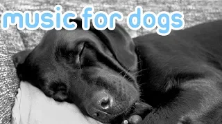 Soothing Music to Relax Your Dog! Calm Your Dog and Combat Anxiety!