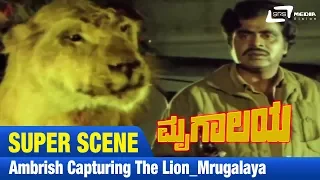 Mrugalaya -- ಮೃಗಾಲಯ |Ambrish Capturing The Lion|FEAT. Ambarish, Geetha