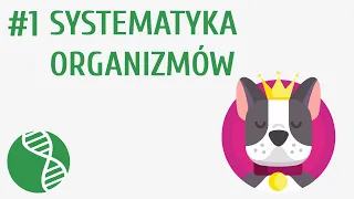 Systematyka organizmów #1 [ Różnorodność i klasyfikacja organizmów ]