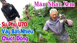 Mãn Nhãn Xem Sư Phụ U70 Vây Bắt Được Nhiều Chuột Đồng