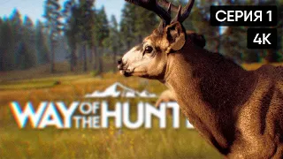 Way of the Hunter прохождение на русском и обзор #1 🅥 Симулятор охоты [4K]