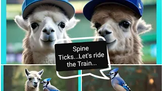 SPINE TICKS! Let's ride the 🚂🚃🚃🚞5/11/2024