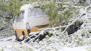 Днепр 19 апреля: снежный буран и упавшие деревья