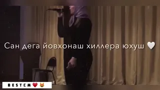 Уффай И Йо1 Хаза Аз😻🔥Дийцина Далаза Туьйра Ду Са