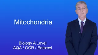 A Level Biology Revision "Mitochondria"