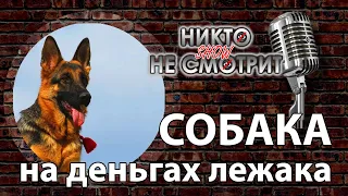 Миллионер оставил наследство собаке. Никто Не Смотрит шоу