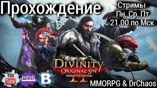 Divinity: Original Sin II - Прохождение [В первый раз]