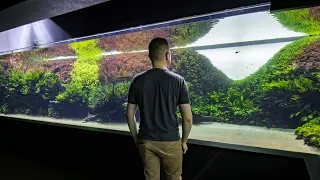 The World's Largest Nature Aquarium