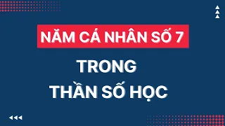 Thần Số Học Năm 2023 | Năm Cá Nhân Số 7 Trong Thần Số Học