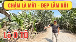 🧧 ĐÃ BÁN 🧧 5 công đất lộ Ô tô thích hợp làm nhà vườn tại Vĩnh Long | Nhà Đất Miền Tây