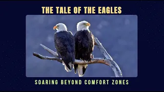 THE TALE OF THE EAGLES: Soaring Beyond Your Comfort Zones