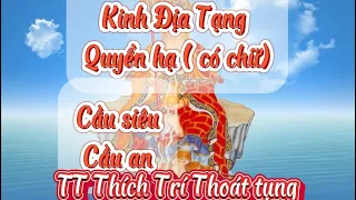 Kinh Địa Tạng bồ tát bổn nguyện( có chữ). TT Thích Trí Thoát trì tụng. Âm siêu dương thới