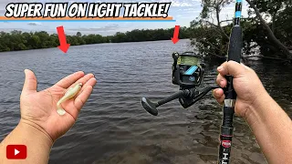Fishing On A COLD Florida Day For Whatever BITES! Tampa Bay Saltwater Fishing!