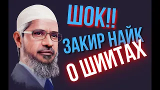 ШОК!! ЗАКИР НАЙК О ШИИТАХ #закирнайк #islam #ислам #sunnah #костекский #хариджиты #саляфиты #умма