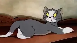 tom and jerry | tom and jerry show | puss  gets the boot | tom and jerry cartoon | tom & jerry